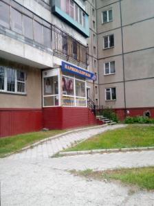 Фотография Роза 5