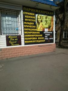 Фотография Стриж 3