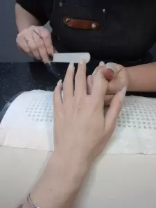 Фотография САКУРА 5