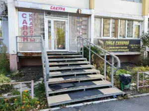 Фотография Сакура 4