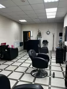 Фотография Слива 0