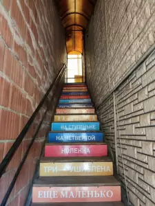 Фотография Слива 5